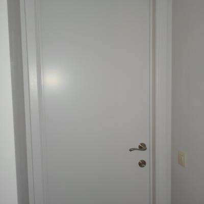 Sam 3981